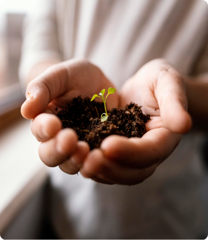Hands holding soil and plant